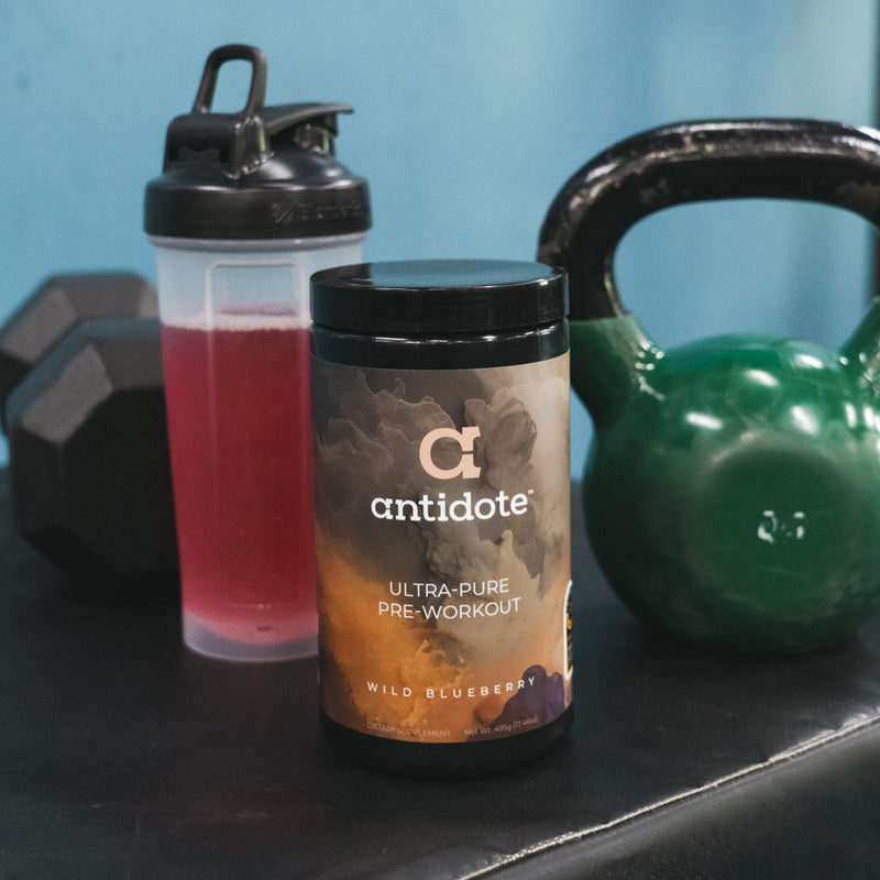 Antidote Pre-Workout : Wild Blueberry